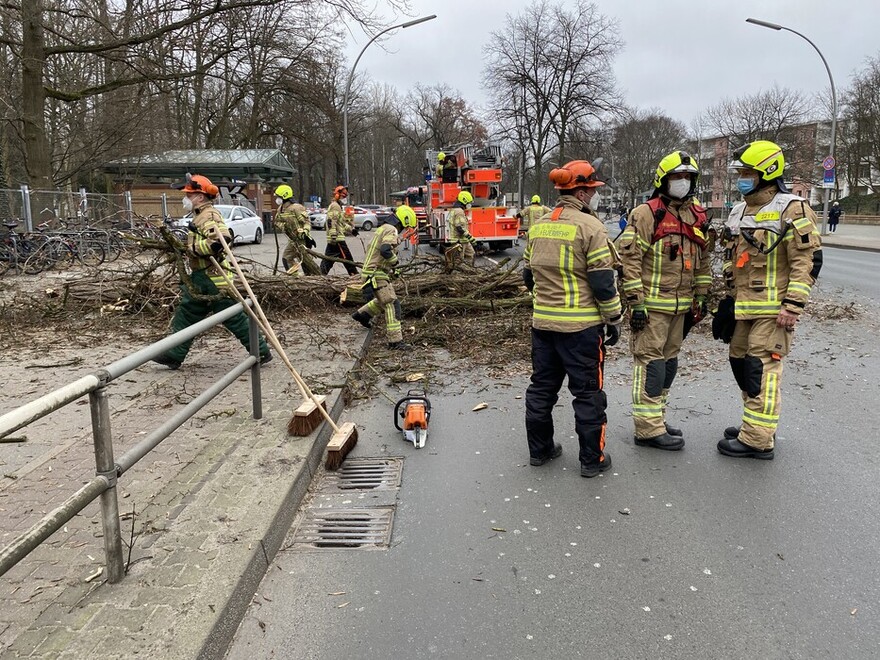 Die Einsatzkräfte beräumen die Straße von den Baumteilen