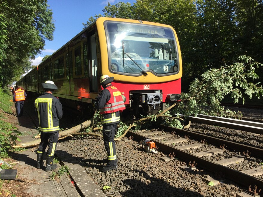 Baum auf S-Bahn-Gleis