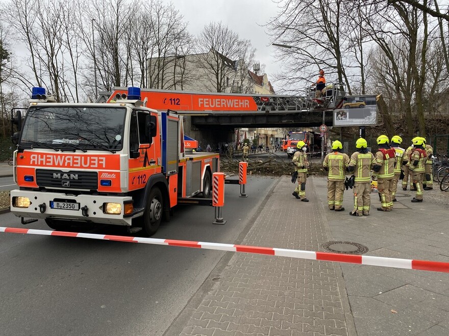 Während der Sägearbeiten aus dem Korb der DLK warten die anderen Einsatzkräfte außerhalb des Gefahrenbereichs