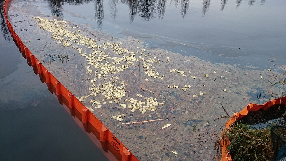 Ölsperre und Bindemittel in Würfelform