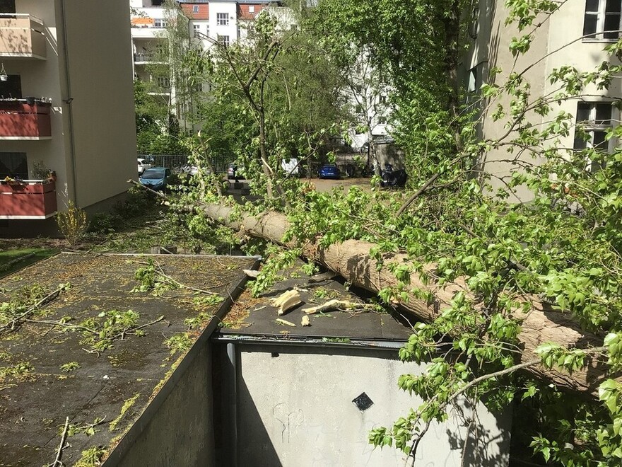 Baum ist auf eine Garage gestürzt