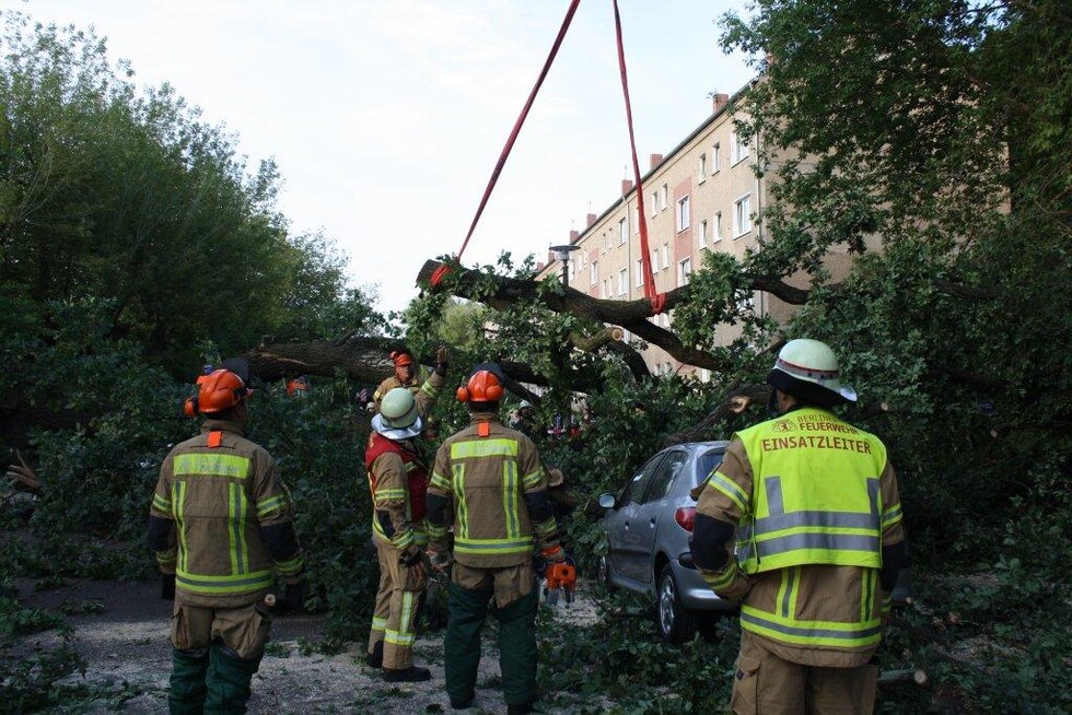 Einsatzkräfte am Baum