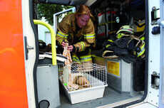 Feuerwehrfrau in der Kabine eines Löschfahrzeugs mit Kleintierkäfig