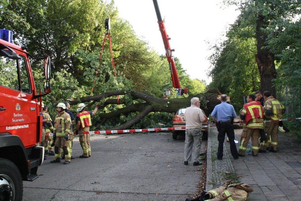 Baum quer über Straße