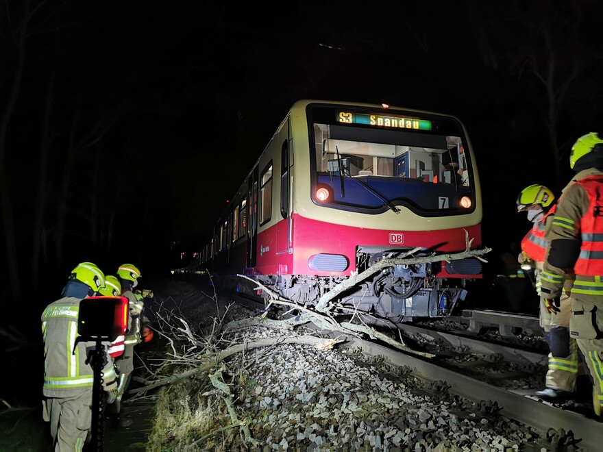 Äste unter einer S-Bahn