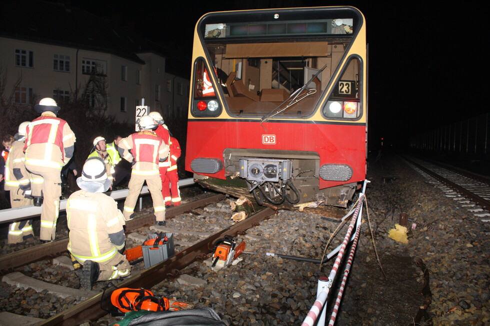 S-Bahn gegen Baum