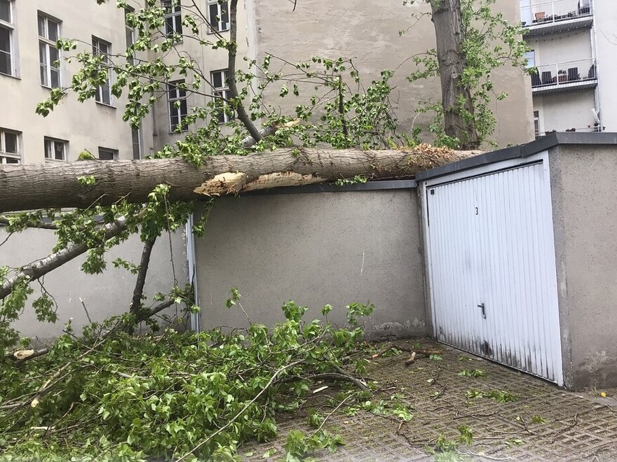 Baum ist auf eine Garage gestürzt