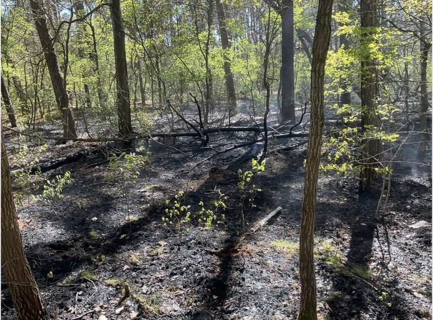 Brandstelle in Köpenick