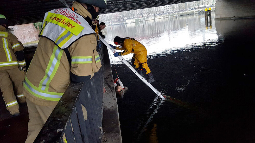 Person wird über eine Leiter aus der Spree gerettet