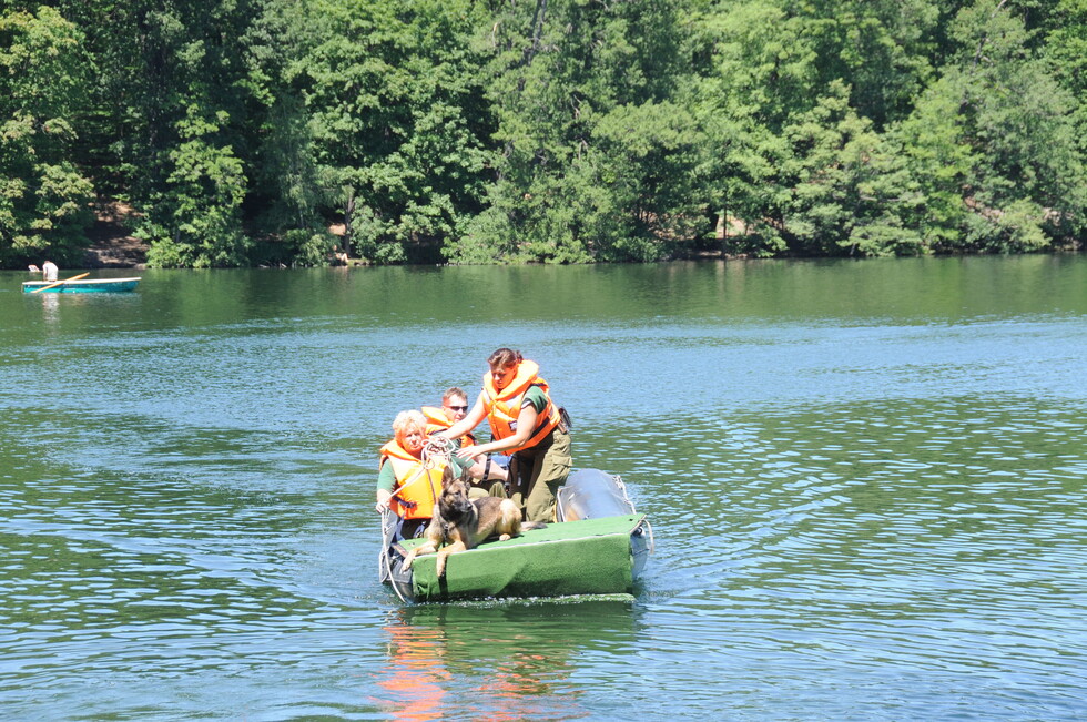Suchhunde im Einsatz