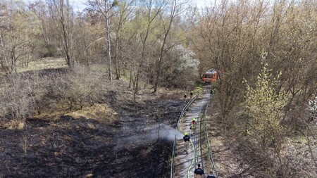 Vegetationsbrand in Malchow