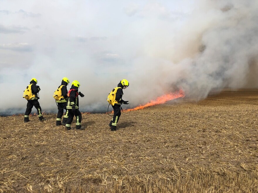 Übung Vegetationsbrandbekämpfung