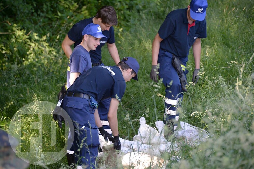 Hochwasser 2013