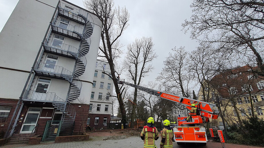 Baum auf Krankenhaus in Schmargendorf gefallenllen