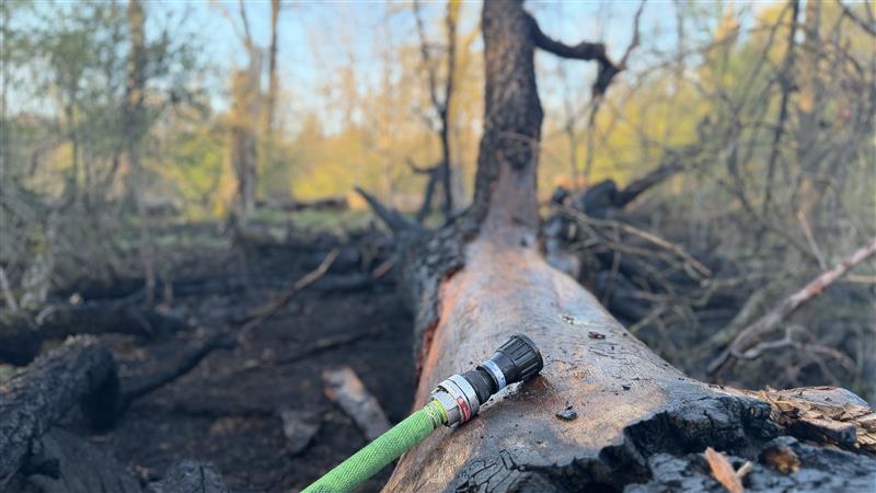 Brandbekämpfung auf verbranntem Waldboden in Hakenfelde