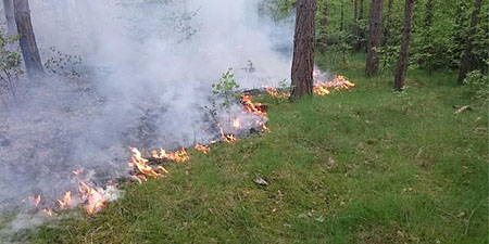 Symbolbild Waldbrandgefahr